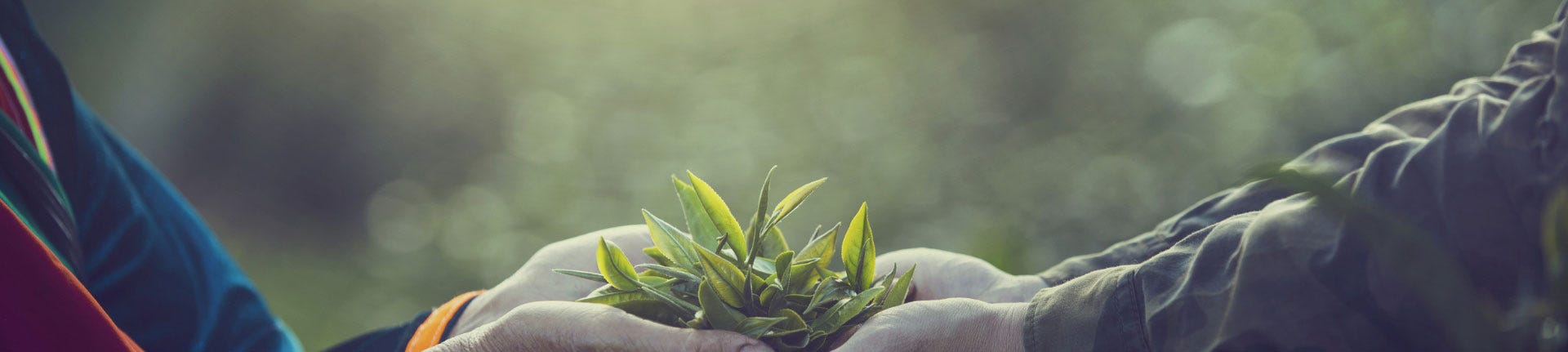 ÉTHIQUE ET RESPONSABILITÉ